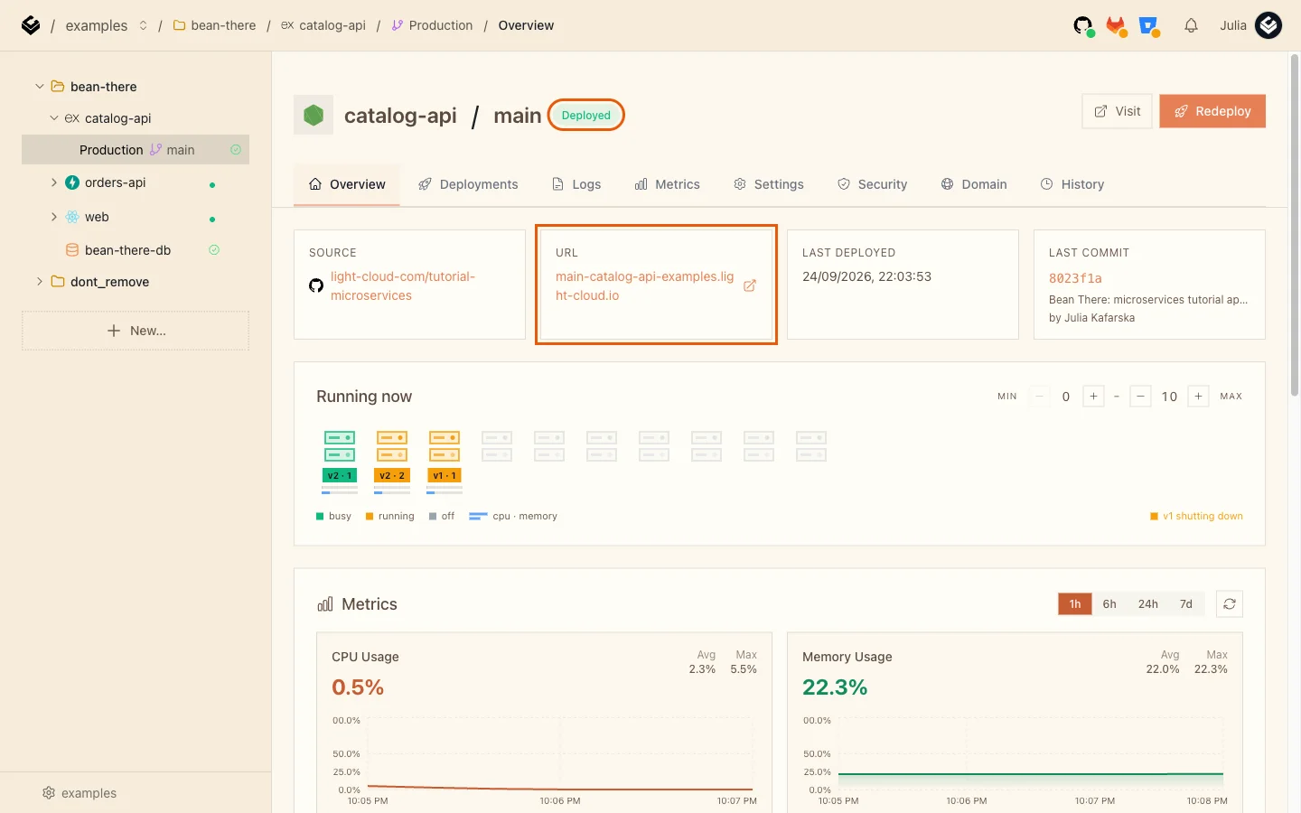 The catalog-api Overview tab with the Deployed badge and the URL card highlighted